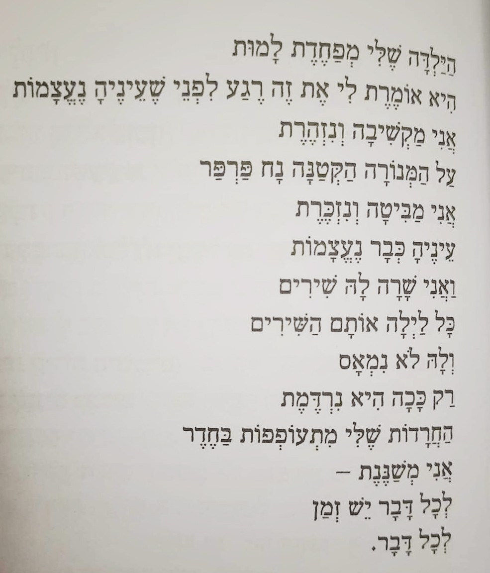 מיטל פישל2