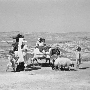 מציג עכשיו: צלם, מצלמה, היסטוריה מקוטעת // יוסף הוכמן