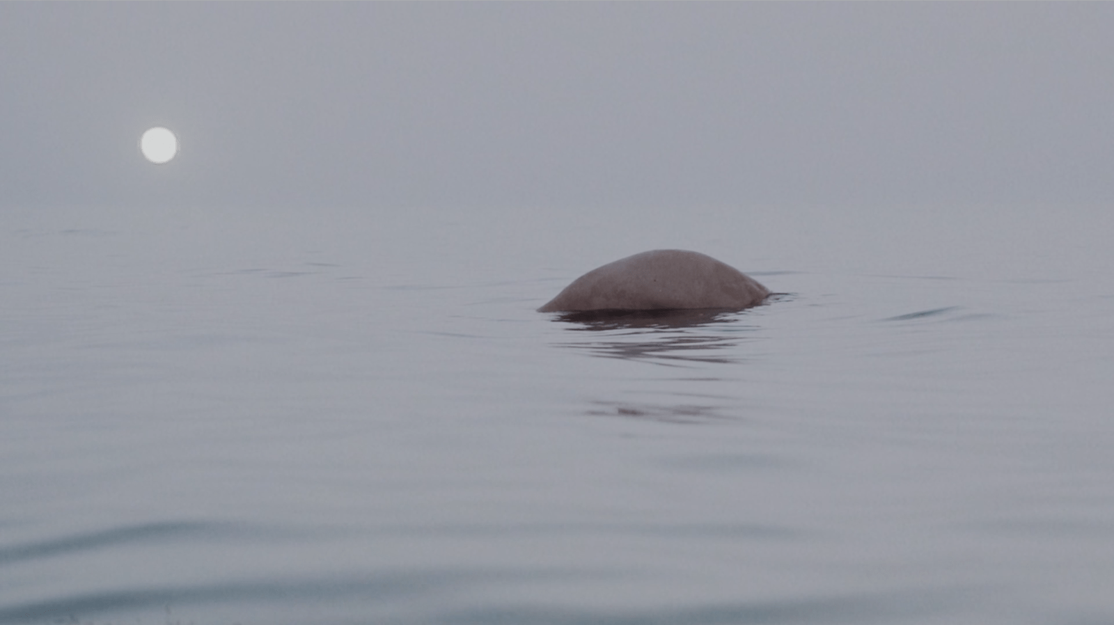 Copy of Screenshot 2025-07-07 at 15.26.44